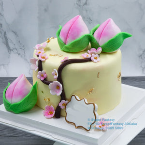 壽桃造型海綿蛋糕 (CP00067)